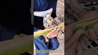 Drilling Green Bamboo: Age‑Old Rural Handcraft for Woven Household Goods