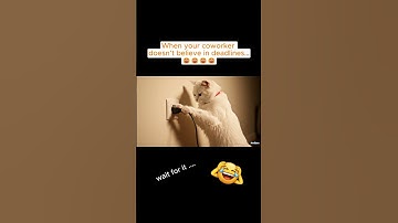 When your coworker doesn’t believe in deadline!