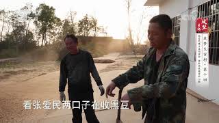 《攻坚日记》 20210106 筑梦生寅村（10）|CCTV农业