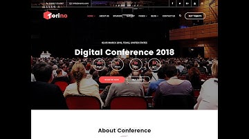 Torino WordPress Theme - How to import Demo content with one click?