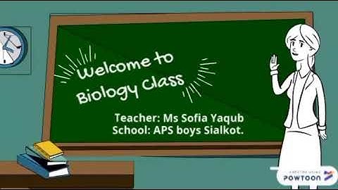 Solving a Biological Problem, biological method and its steps