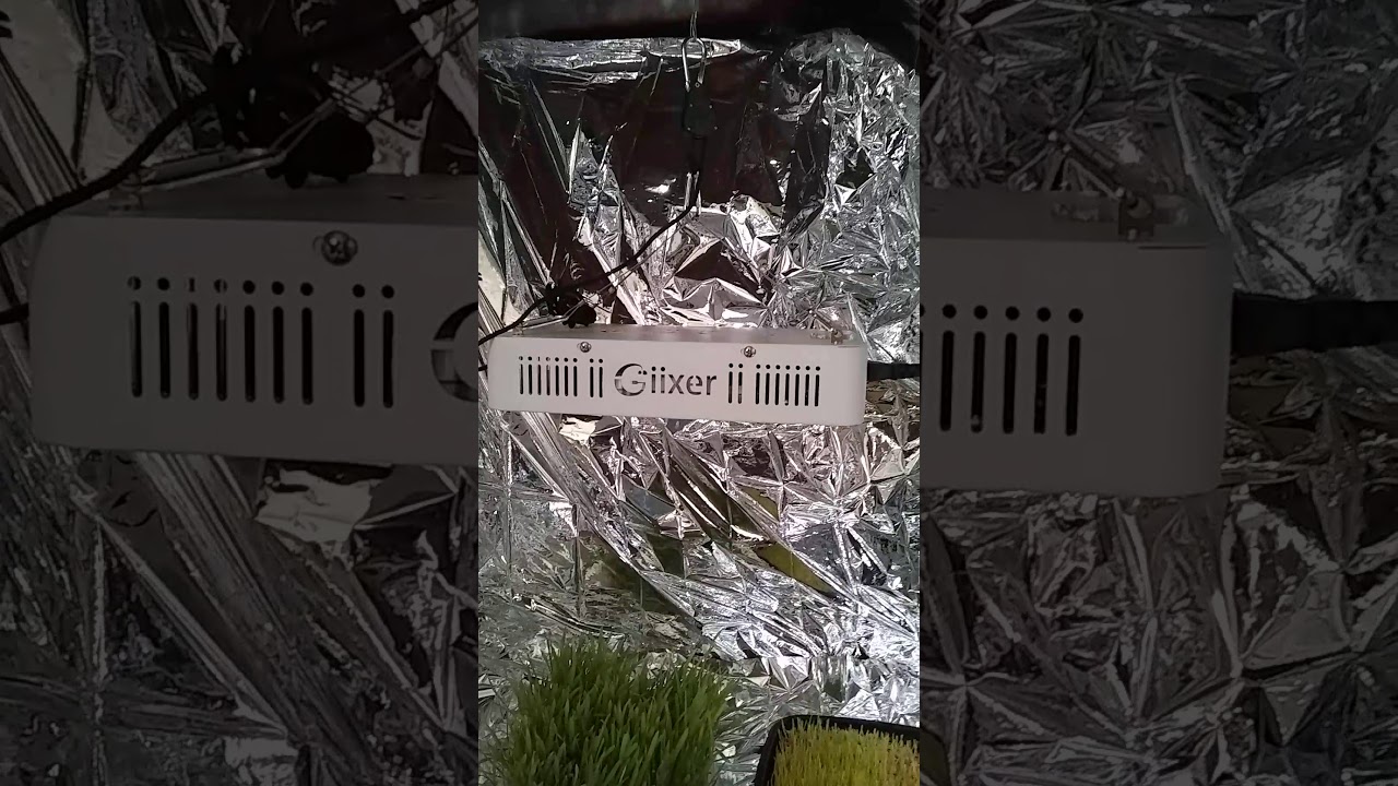 Giixer 1000W Led Grow light