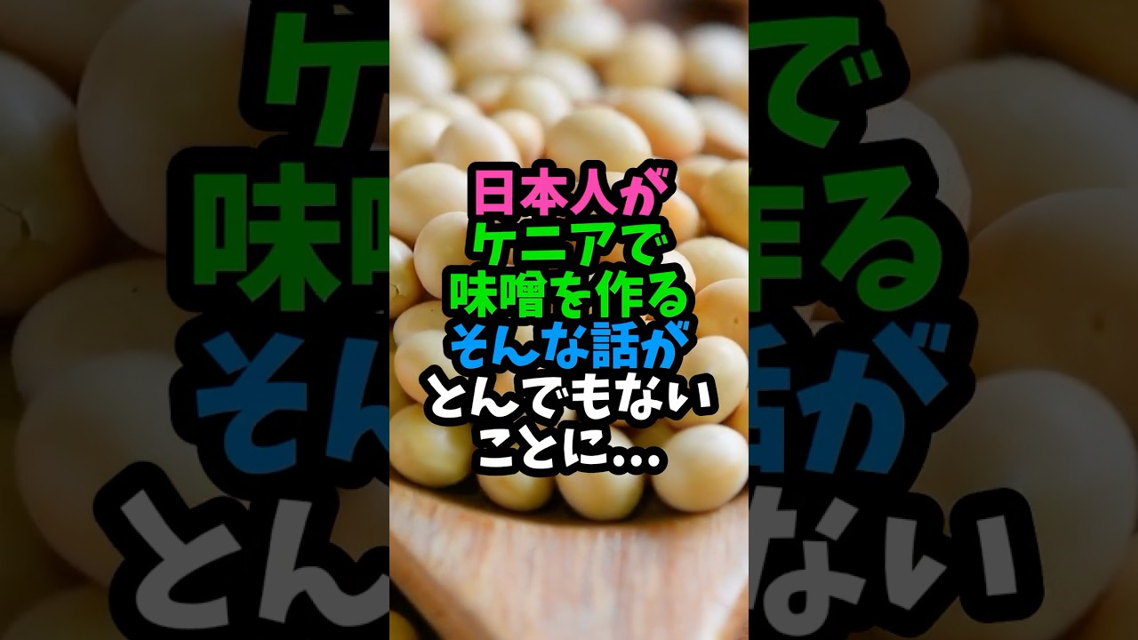 日本人がケニアで味噌を作る　そんな話がとんでもないことに…　 #実話