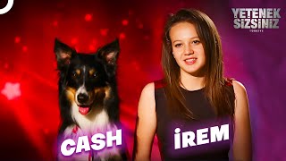 Bu Köpek İnsan Gibi Gözlerinize İnanamayacaksınız Yetenek Sizsiniz Türkiye