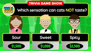 👉 Today's Best GENERAL KNOWLEDGE Daily Trivia Quiz - Unique Game Show Format | Apr. 26, 2024