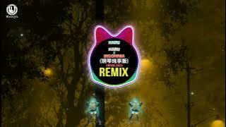 Haru Haru x Insomnia x 谎言(钢琴纯享版) Remix Tiktok 2025 DJ抖音热播版 || Hot Douyin