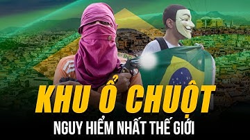 KHU Ổ CHUỘT COMPLEXO DO ALEMAO NGUY HIỂM NHẤT THẾ GIỚI: MẶT TỐI BRAZIL - NHÀ NƯỚC CŨNG PHẢI BÓ TAY