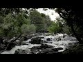Relax-Tranquil Nature Without Music-Calming Waterfall Sounds-Bird Song-natura cascata suoni-uccelli