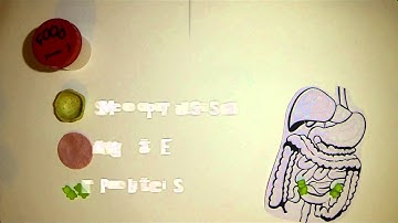 Encapsulating Probiotics by F. Haffner