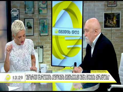 ლევან ღვინჯილია ენის კანონის შესახებ (2017) [Levan Gvinjilia]