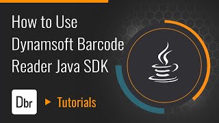 How to Use Dynamsoft Barcode Reader Java SDK | Dynamsoft Tutorial screenshot 3