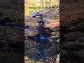 Cheaha Falls Delta, AL