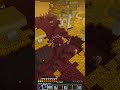 It's Pretty Common In The Nether #modded #minecraft