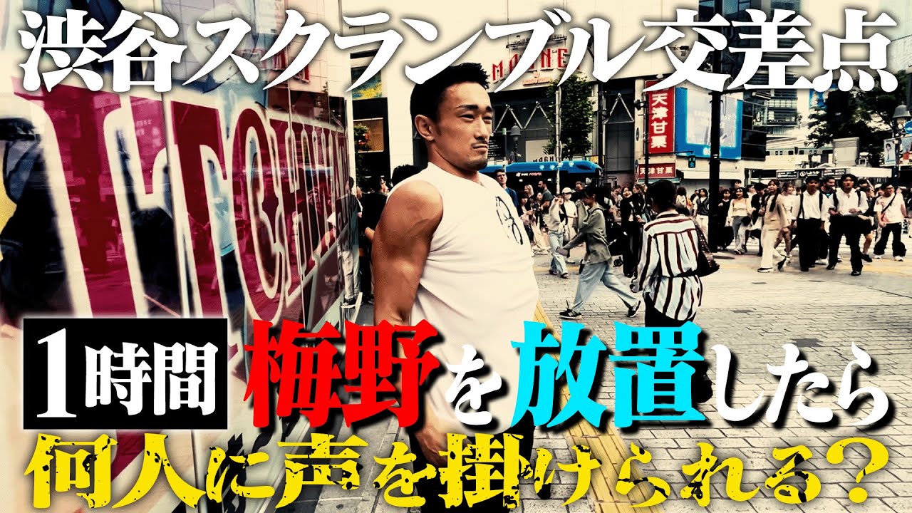 ㊗️20,000人突破『梅野さんの人気調査してきました』