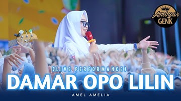 Damar Opo Lilin - Amel Amelia (Official Live Video)