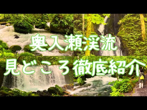 青森24　夏、新緑の奥入瀬渓流　見どころ徹底紹介25　阿修羅の流れ、雲井の滝、白糸の滝、銚子大滝　aomori, nature, trekking