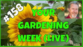 Your Top Gardening Questions Answered (Q&amp;A)
