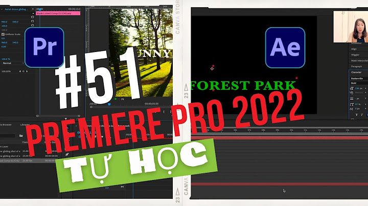 Adobe premiere and after effects khác nhau như thế nào năm 2024