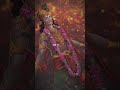 Jai Shrri Krishna 🦚❤️