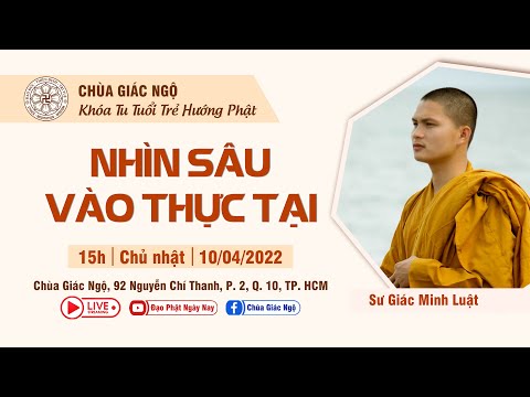 Video: Để lại thú cưng của bạn ở đâu khi bạn đi vắng