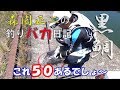 チヌ エビ撒き釣り攻略 黒鯛大物ゲット 大阪南港Jグリーン 「森園正二の釣りバカ日記」第1回