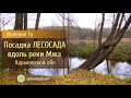 Посадка лесосада вдоль реки Мжа, Харьковская обл.!