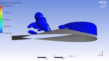 3D Twist11 (modified) Cavitation Simulation Side View - Cluster Run 1