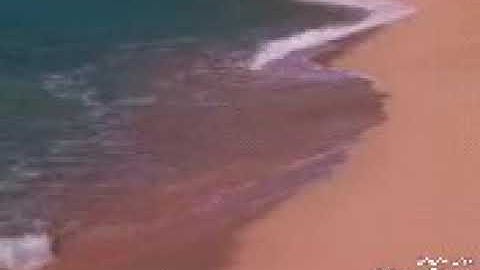 تلاوة من سورة يس