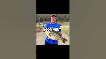 Thumbnail of some monsters #music #countrymusic #cover #newmusic #acoustic #fishing #carps #fish #bassfishing