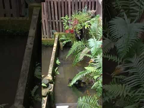 Hënong Ngavong Tula Lan Lëng Yo Bël Wa Do Limak 24 January 2025 Jëm 1212