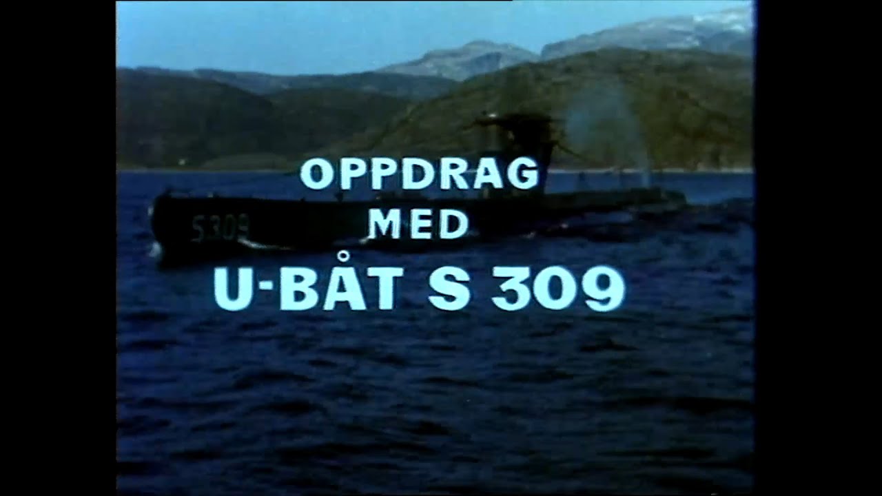 Oppdrag med ubåt S 309 Kaura