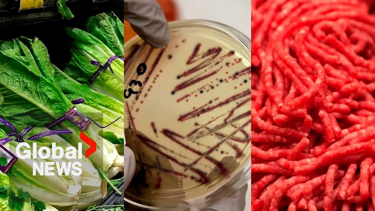 Calgary E. coli outbreak: Critical health violations found at kitchen ...