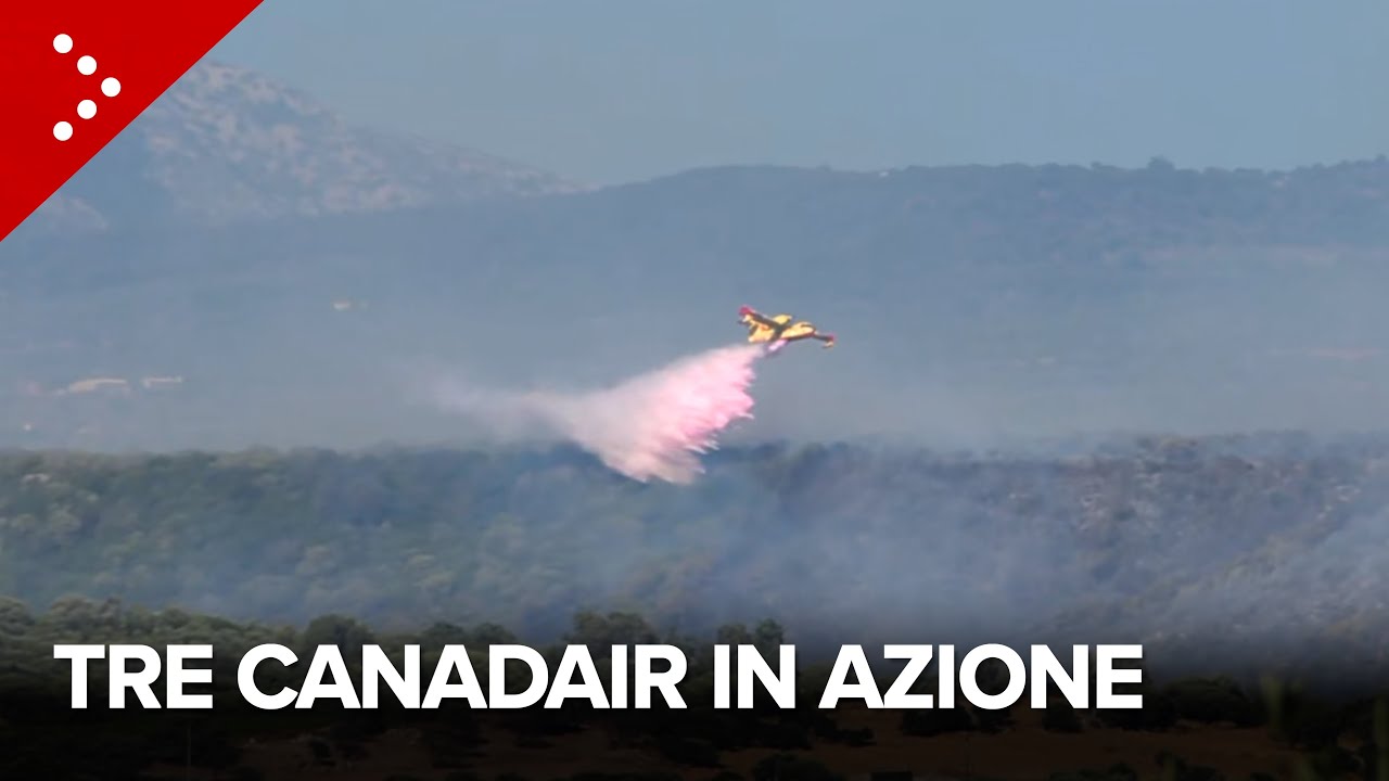 Incendi in Sardegna, intervento congiunto di tre canadair e tre elicotteri a Oliena (Nuoro)