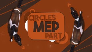 [LS - SSO] Circles - MEP PART