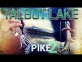 Fishing talbot lake alberta again  always fun pike fishing  amazing scenery