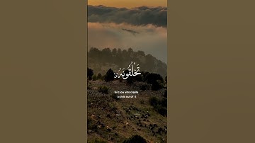 أفَرَأَيْتُم مَّا تُمْنُونَ؟ – تأمل في خلق الإنسان | تلاوة مؤثرة من سورة الواقعة