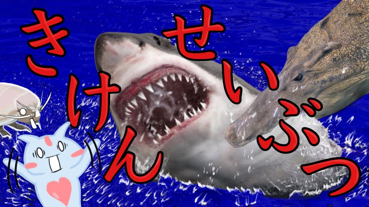 危険生物クイズ