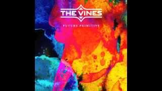 The Vines   I Bet You Look Good On The Dance Floor (Arctic Monkeys Cover) chords