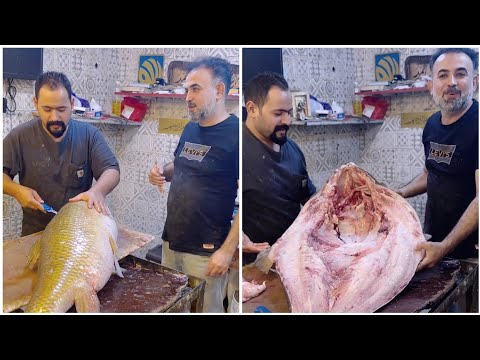 اكبر كطان في العراق ٢٩ كيلو تحدي محمد سماك إلى جميع الصيادين