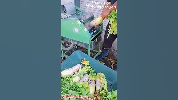 Installing baseboards 🚧 #diy #construction #builder #build #homeimprovement #landscaping #howto