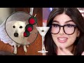 Middle of video