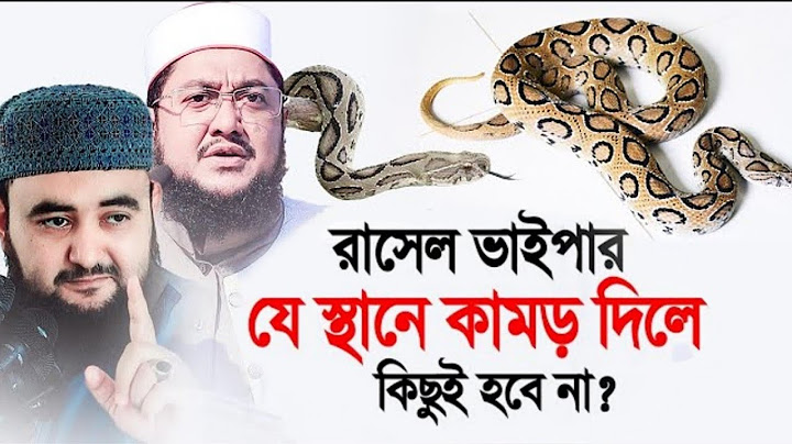 রাসেল ভাইপার যে স্থানে কামড় দিলে কিছুই হবেনা? মুফতী মুস্তাফিজ রহমান।।