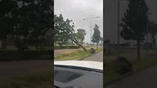 Two dead as Storm Poly hits Netherlands and 'code red' weather alert urges millions to stay indoors