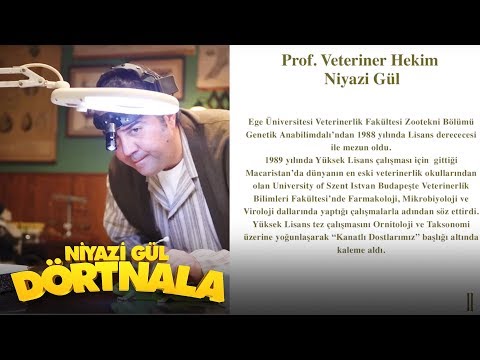 Niyazi Gül Dörtnala - Niyazi Gül'ün Biyografisi