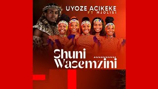 Shuni Wasemzini Ft Mjolisi  Uyoze Acikeke promo