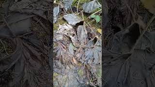 видео: Идём на гору картинка: Идём на гору