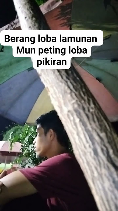 Berang loba ngalamun peting loba pikiran🥹 #lamunan #pikiranyangsehat #lucu #shorts #shortvideo #cat