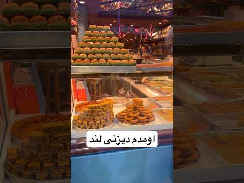 دیزنی لند اومد کنار خونمون