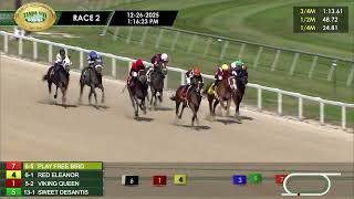 December 26, 2025  Race 2