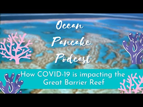 How COVID-19 is impacting the Great Barrier Reef l Ocean Pancake Podcas - How COVID-19 is impacting the Great Barrier Reef l Ocean Pancake Podcas